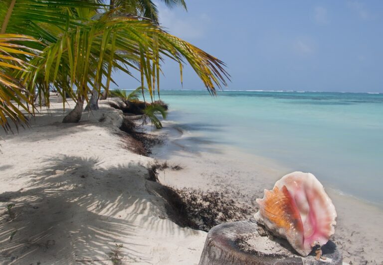 A scenic tropical beach with palm trees, clear turquoise water, and a large conch shell sitting on a tree stump in the foreground.